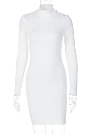 Victoria Ribbed Turtleneck Mini Dress