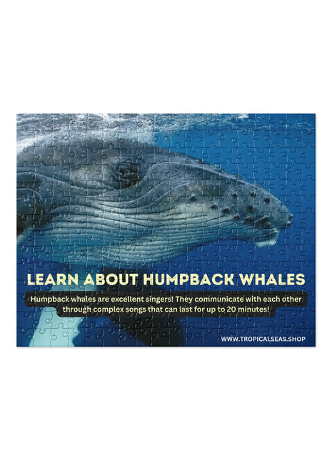 Humpback Whales Fun Fact Jigsaw puzzle