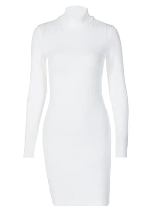 Victoria Ribbed Turtleneck Mini Dress