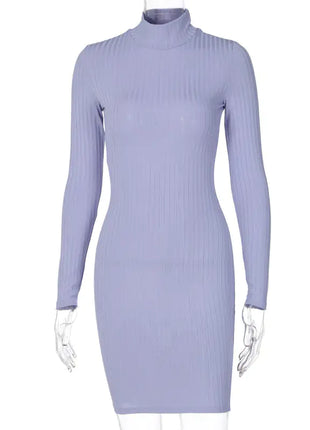 Victoria Ribbed Turtleneck Mini Dress